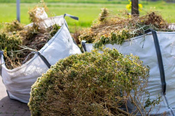 Best Shed Removal  in Hodgkins, IL